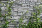 Carpenter Rocksgreen-walls-4.jpg; ?>